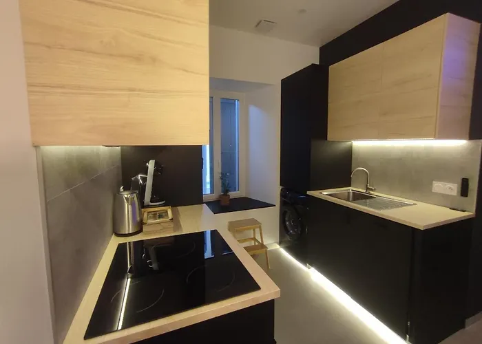 Cocon Lux Au Centre De Lägenhet Voiron